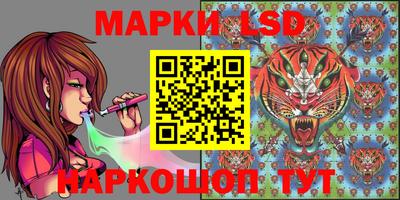 скорость Кандалакша