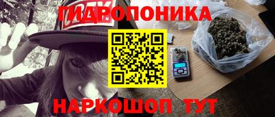 2c-b Камышлов