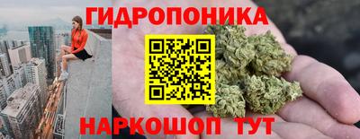 скорость Кандалакша