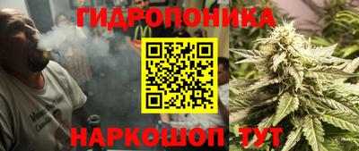 скорость Кандалакша