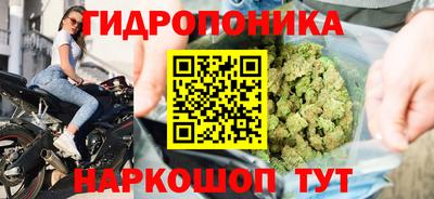 сатива Канаш