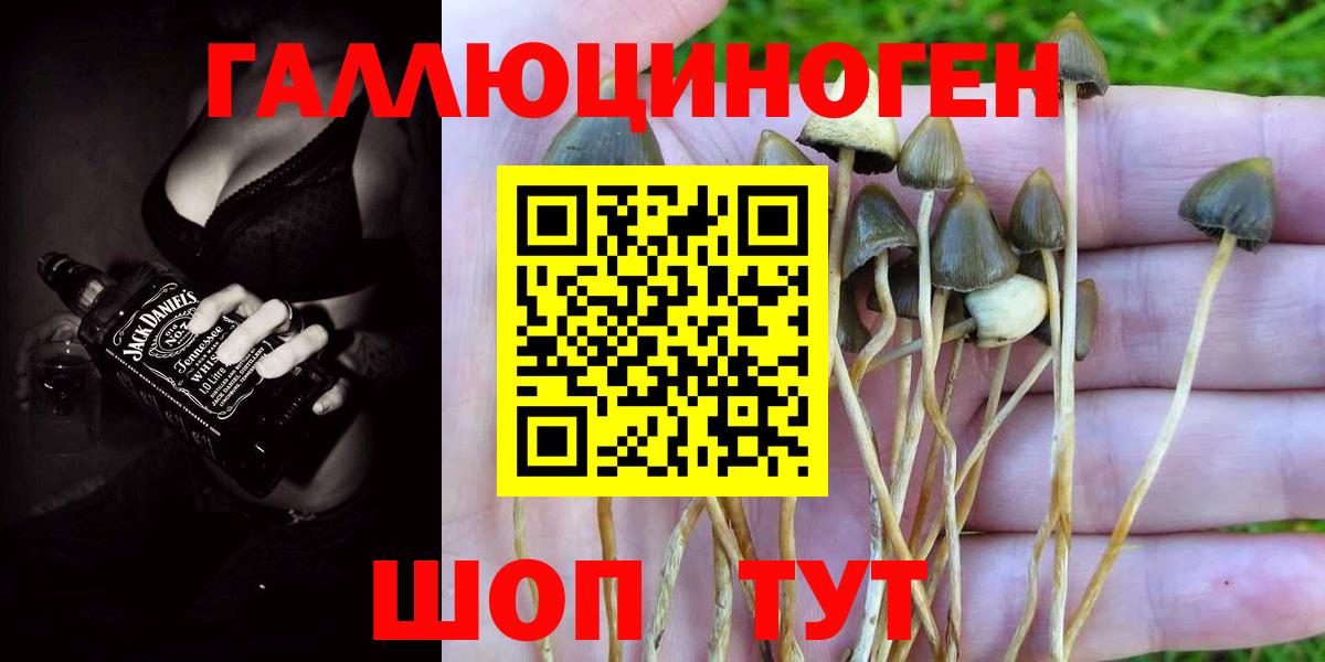 Краснознаменск  Псилоцибиновые грибы мухоморы  Вход с VPN 