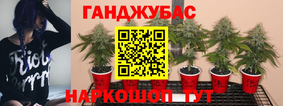 Краснознаменск  МАРИХУАНА OG Kush  МАРИХУАНА планчик  Бошки марихуана сатива  Шишки марихуана план  Вход с VPN 