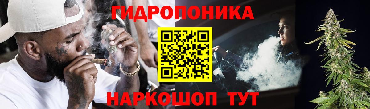 Канабис OG Kush Краснознаменск